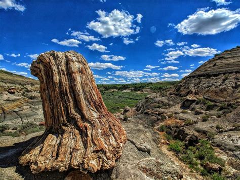 Petrified Trail Loop Hiking Trail, Medora, North Dakota