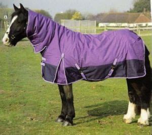 China Waterproof and Breathable Winter Horse Blanket (SMR1640) - China ...