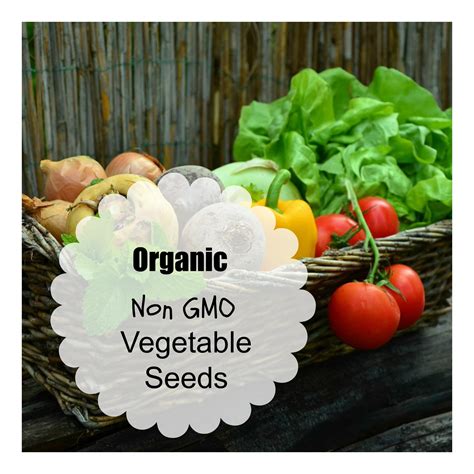 Where to Buy Organic Vegetable Seeds - Organic Palace Queen