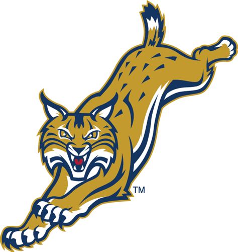 Quinnipiac Bobcats Alternate Logo - NCAA Division I (n-r) (NCAA n-r ...