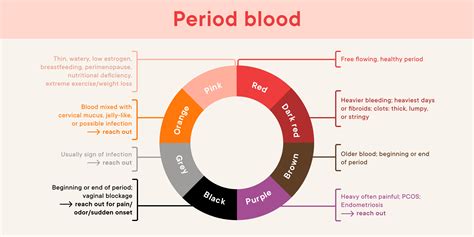 Why Is My Period So Light And Brown | Americanwarmoms.org