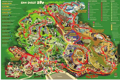 Printable San Diego Zoo Map