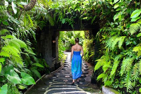 One Week of Bliss: My Bali Wellness Retreat