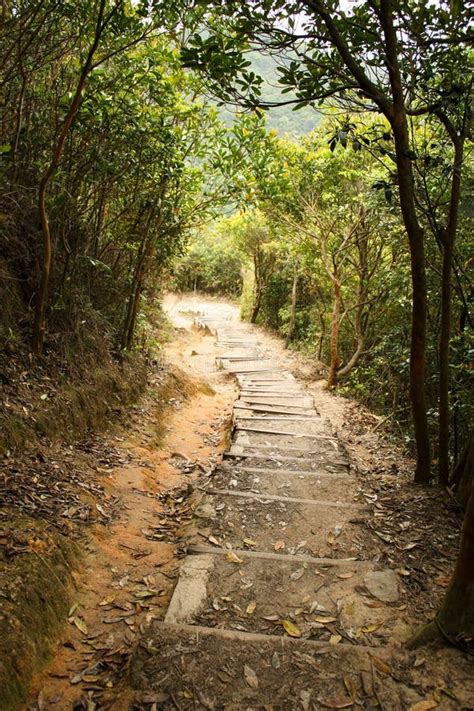 Mountain Path stock photo. Image of hill, path, hiking - 19323258