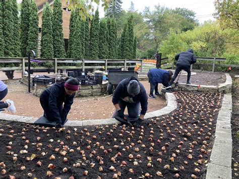 Bulb Planting Fall 2023 | Reiman Gardens Volunteers | Flickr