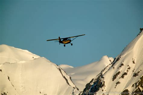 Bush Plane | Photos by Ron Niebrugge