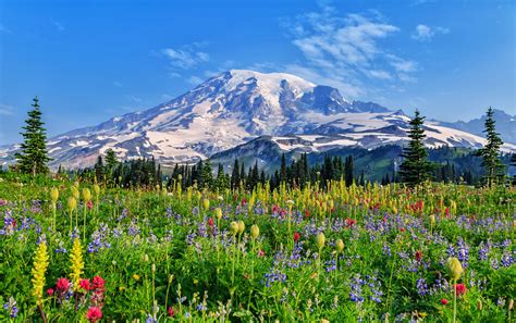 Mount Rainier National Park