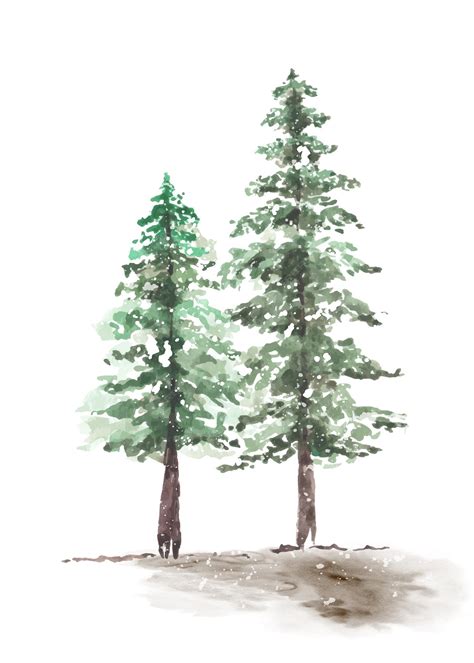 Premium Vector | Snowy winter couple pine trees hand-painted watercolor. vector decorative ...