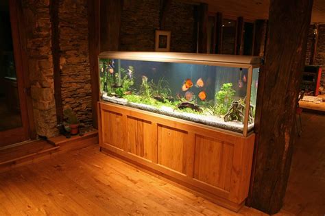 55 Gallon Fish Tank Guide (Best Fish, Setup Ideas, Equipment and More) 40 Gallon Aquarium ...