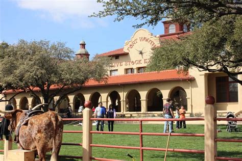 When in Fort Worth, Texas | How To Feed A Loon