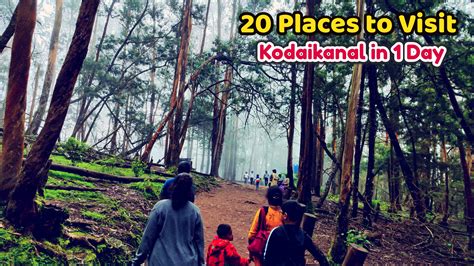 20 Places to Visit in Kodaikanal 1 Day | Top Tourist Attractions ...