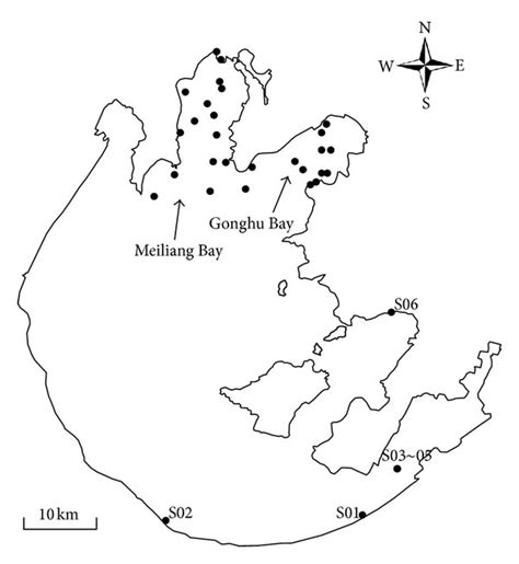 Map showing sampling locations on Lake Taihu. | Download Scientific Diagram