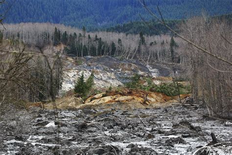 Washington Mudslide Toll Rises to Eight With at Least 18 Missing - NBC News