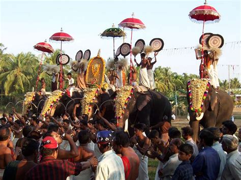 Temple festival with elephant in Kerala. - India Travel Forum | IndiaMike.com