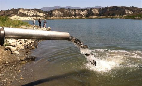 Season’s second trout plant made at Cachuma Lake as water level continues to rise | Local News ...