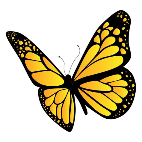 yellow butterfly png 10 free Cliparts | Download images on Clipground 2024