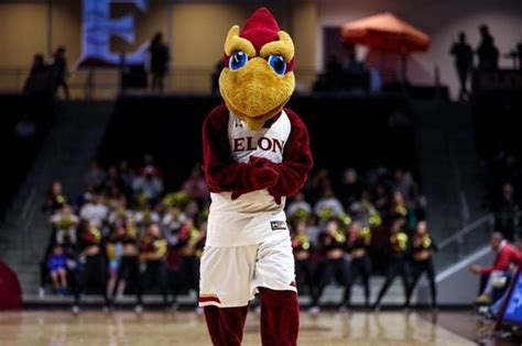 Elon University mascot spreads spirit, with or without sports - Elon News Network