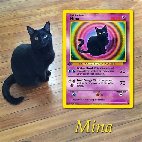 Artist Illustrates Pets Into Pokemon Cards And They Look Absolutely Adorable