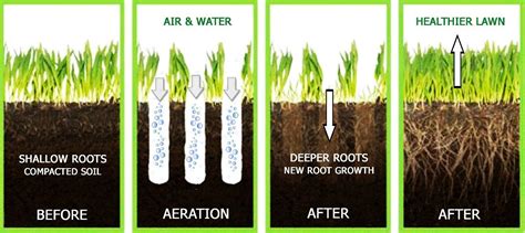 Early-Fall To-Do: Core Aeration | Lawn Care Service