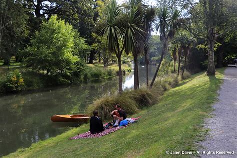 Avon River-picnic-Christchurch Botanic Gardens | Janet Davis Explores ...