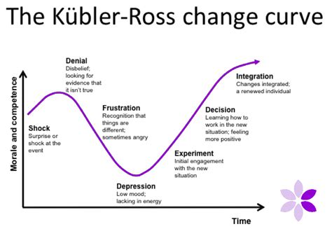 Top tips, learning techniques and models used by Crocus Coaching | Crocus Coaching and Development