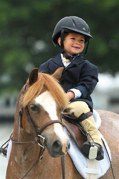 The Rarest Section of the Welsh Pony - Young Rider Magazine