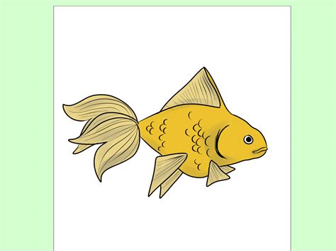 How to Draw Goldfish: 9 Steps (with Pictures) - wikiHow