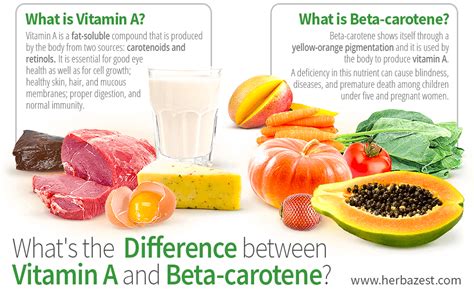 What's the Difference between Vitamin A and Beta-carotene? | HerbaZest