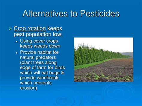 PPT - Pest Control PowerPoint Presentation - ID:2396407