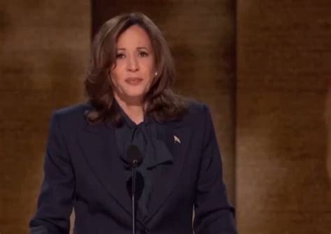 Netflix cancellations spiked after Reed Hastings endorsed Kamala Harris