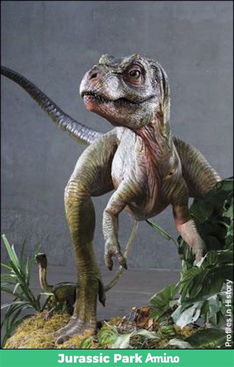 Rexy (baby) (male) | Wiki | Jurassic Park Amino