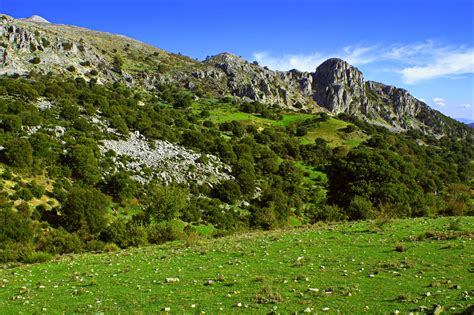 Mediterranean forest | Parque Natural de Sierra Mágina, Jaén… | Hugo ...