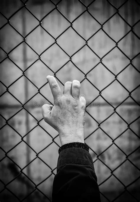 Woman`s Hand on a Metal Fence Stock Image - Image of concept, jail ...