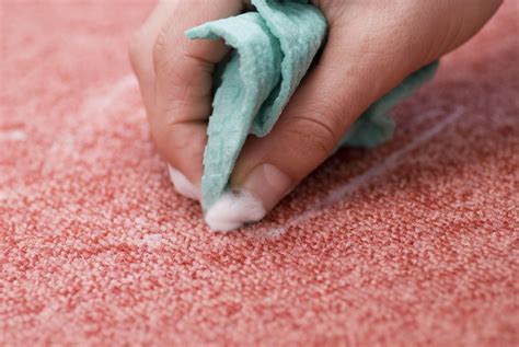 The 11 Best Eco-Friendly Carpet Cleaners of 2021