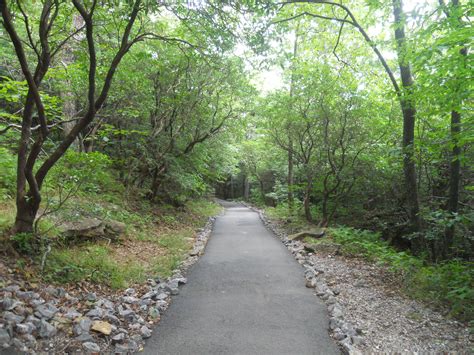 Hiking Trail at Brasstown Bald Mountain, Georgia. This trail is very steep and you gain 428 ...