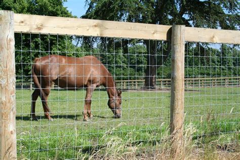 View source image | Horse fencing, Pasture fencing, Horses