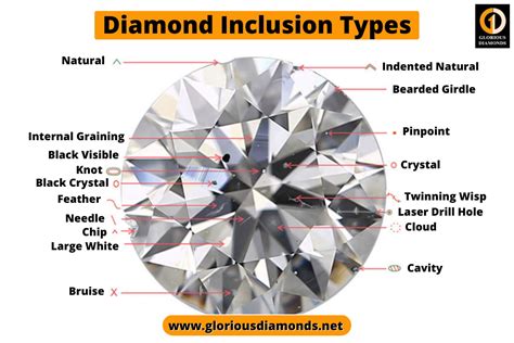 Gia Inclusion Characteristics