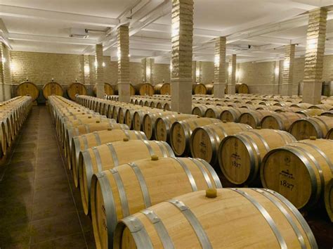 Best Winery in Moldova You Should Visit [Winery Tour in Moldova]