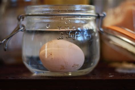 How I Water-Test Eggs for Freshness | Nourishing Days