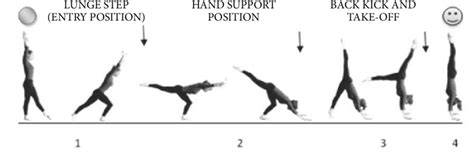 Stages of a handstand performance | Download Scientific Diagram