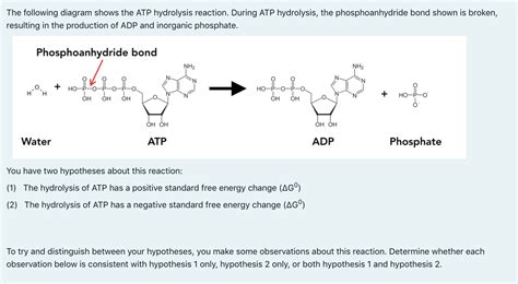 C: ATP AND OXIDATIVE PHOSPHORYLATION REACTIONS, 42% OFF