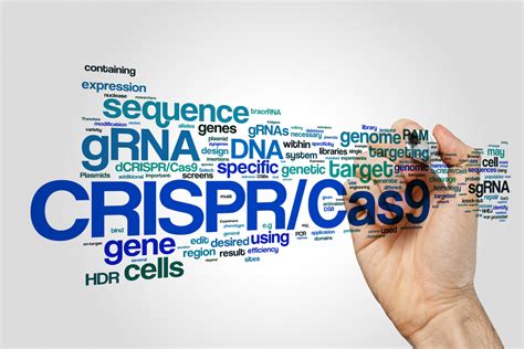 CRISPR/Cas9 Gene-Editing Used in Hemophilia B Mice