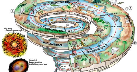 Elementos de Geología : TEMA 9: GEOLOGÍA HISTÓRICA.