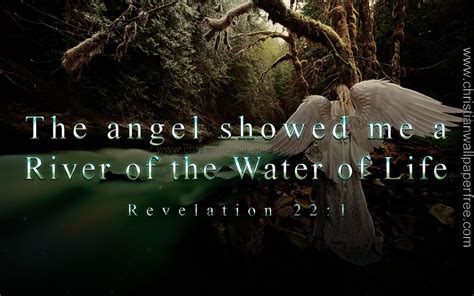 River of the Water of Life Revelation 22 Verse 1 | Water life, Revelation 22, Revelation