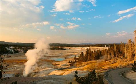 These Yellowstone National Park Webcams Will Cure Your Cabin Fever ...