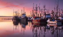 Fishing Boats Urk 4 Free Stock Photo - Public Domain Pictures