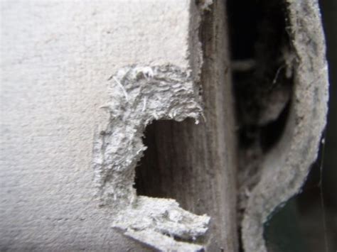 How to Identify Asbestos Walls • Icon Asbestos Removal