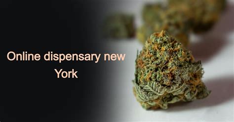 What is Hybrid marijuana?- Leaflyweednyc weed delivery NYC