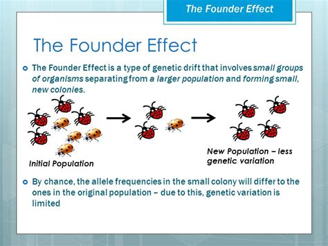 Microevolution | Biology - Quizizz