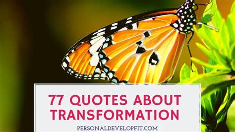 77 Powerful Quotes About Transformation